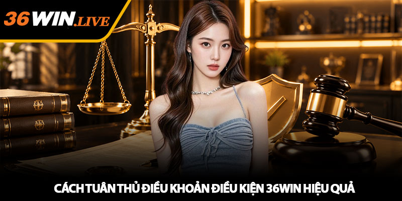 Điều Khoản Điều Kiện 36WIN - Quy Định Quan Trọng Cần Biết 3 Cách tuân thủ điều khoản điều kiện 36WIN hiệu quả