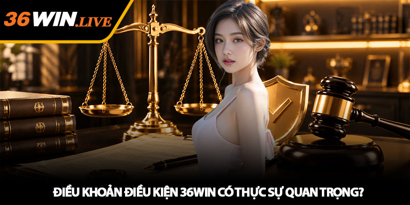 Điều Khoản Điều Kiện 36WIN - Quy Định Quan Trọng Cần Biết 1 Điều khoản điều kiện 36WIN có thực sự quan trọng?