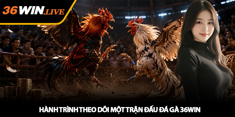 Đá Gà 36WIN - Theo Dõi Trận Kê Chiến Hấp Dẫn Mỗi Ngày 2 Hành Trình Theo Dõi Một Trận Đấu Đá Gà 36WIN